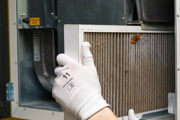 Best Affordable Duct Cleaning Services  in Colonial Heights, TN