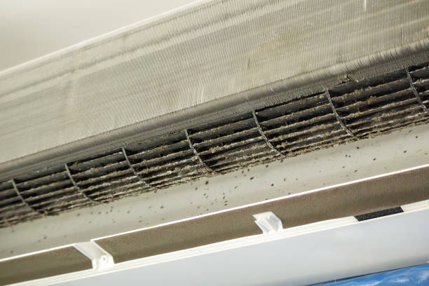 Best Best Air Duct Cleaning Company  in Colonial Heights, TN
